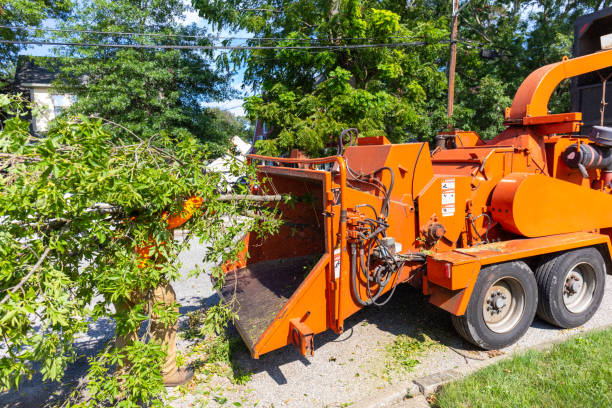 Best Commercial Tree Services  in Morris, AL